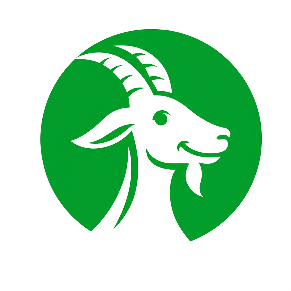 Haysat Logo